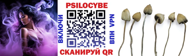 Галлюциногенные грибы Cubensis  Торопец 